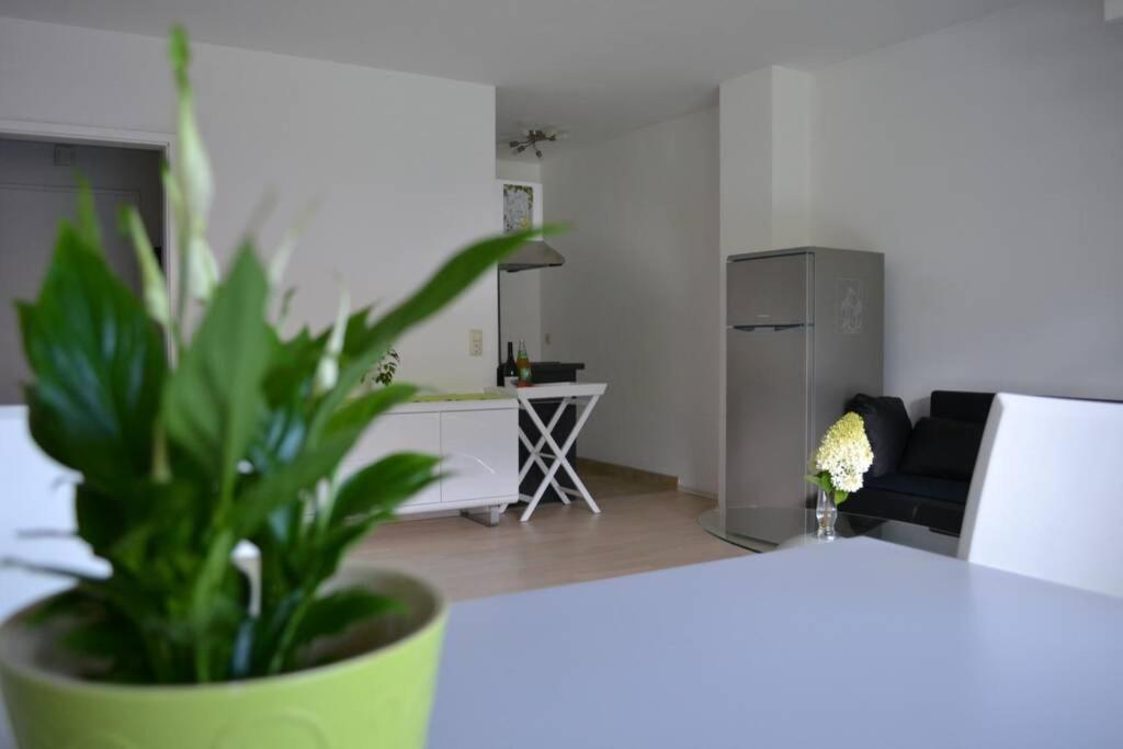 Stimmer Appartement Grainau